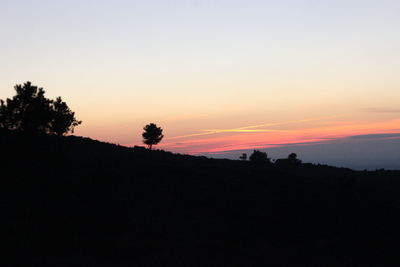 Silhouette trees on field against sky during sunset