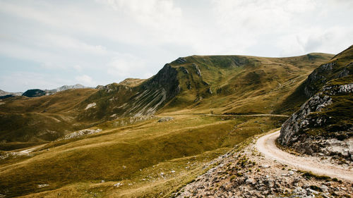 Relaxing and calm mountain landscape with green meadows. stog, rocky peaks and  gravel road.