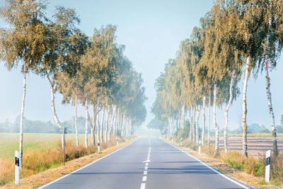 Road amidst trees against sky