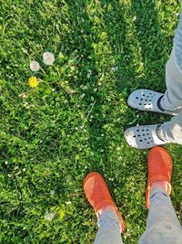Low section of man standing on grass