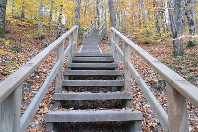 Staircase in forest during autumn