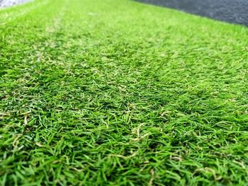 Full frame shot of grassy field