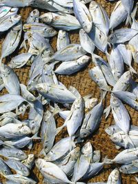 Full frame shot of white background