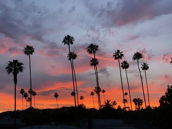 Silhouette palm trees against dramatic sky during sunset