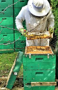 Beekeeper inspecting beehive at farm