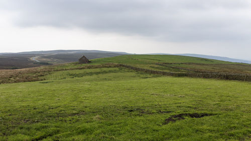 Scenic view of grassy field against sky