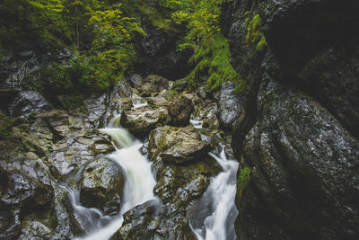 Scenic view of waterfall in forest