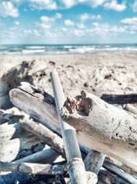 Close-up of driftwood on beach