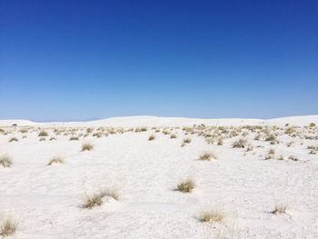 Scenic view of landscape against clear blue sky