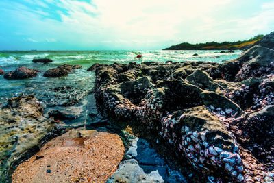 Scenic view of sea against sky