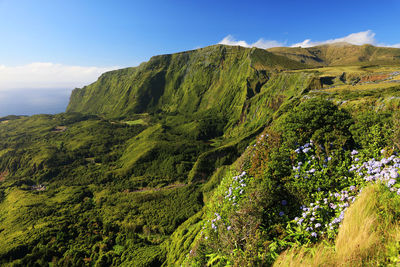 Scenic view of green mountains against sky