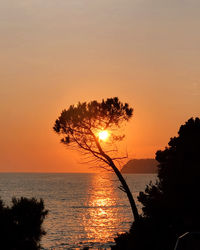 Silhouette tree by sea against sky during sunset