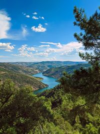 Scenic view of sea and trees against sky