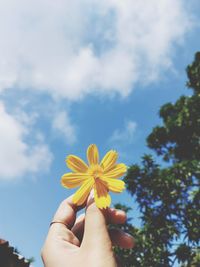 Cropped hand of woman holding flower against sky