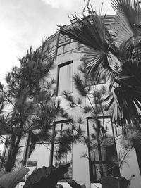 Low angle view of coconut palm tree by building against sky