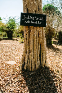 Information sign on tree trunk 