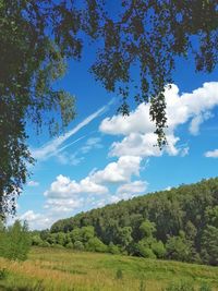 Scenic view of trees against sky
