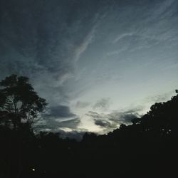 Silhouette of trees against sky