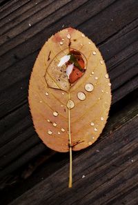 High angle view of bread on wood