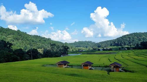 Panoramic shot of green landscape and houses against sky