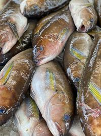 High angle view of fish for sale in market