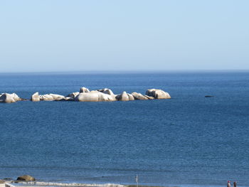 Scenic view of sea against clear sky