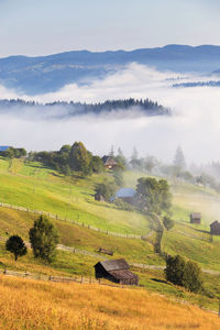 Scenic view of agricultural field against sky