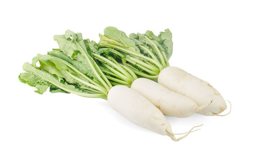 Close-up of bread against white background