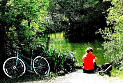 Man with bicycle on tree