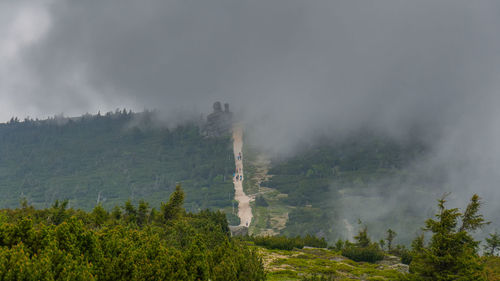 View of trees on landscape against sky