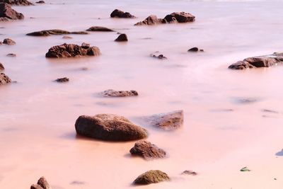 Scenic view of rocks in water against sky