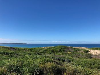 Scenic view of sea against clear blue sky