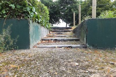 Footpath leading to old building