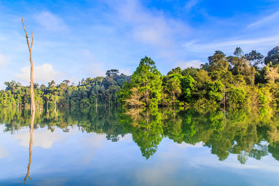 Reflection of trees on calm lake against blue sky