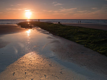 Scenic view of beach against sky during sunset