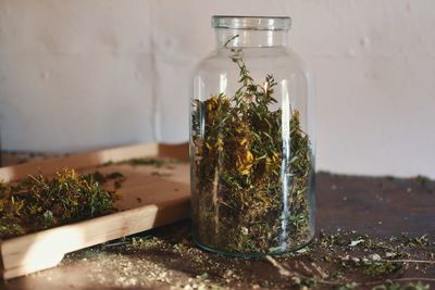 Close-up of herbal medicine in jar