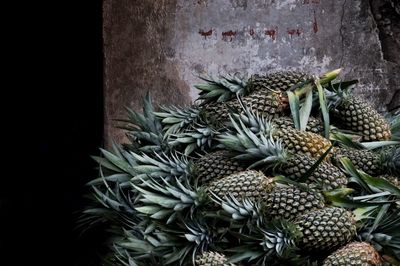 Close-up of stacked pineapples for sale at market