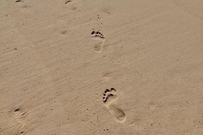 High angle view of footprints on sand