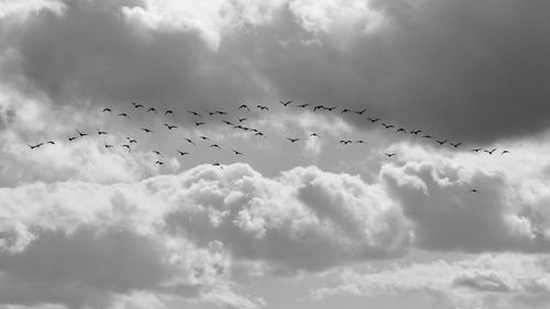 Low angle view of birds flying in cloudy sky