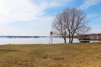 Bare tree on field by lake against sky