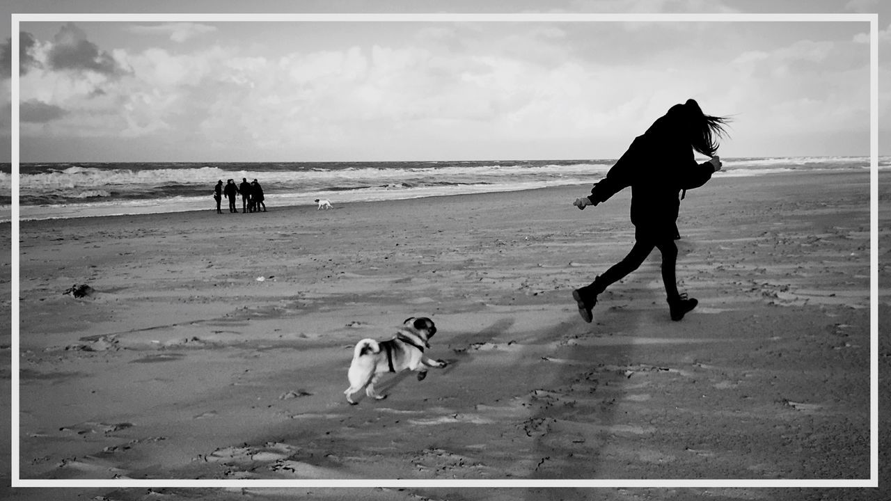 beach, sea, sand, horizon over water, full length, nature, water, walking, running, real people, outdoors, sky, dog, men, day, one person, people