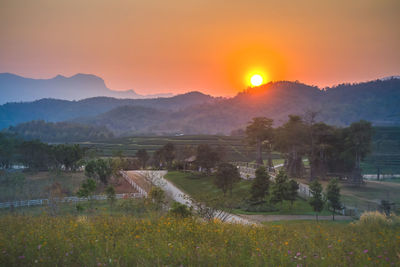 Scenic view of field against sky during sunset