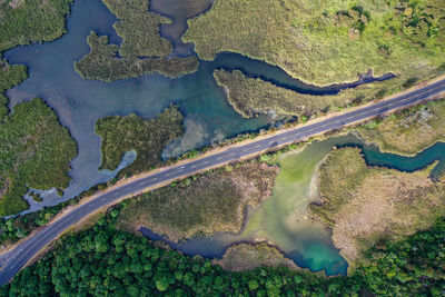 High angle view of river amidst trees