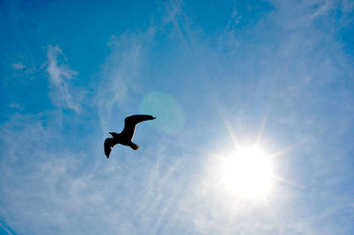 Low angle view of birds flying in sky