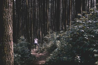 Man photographing against trees in forest
