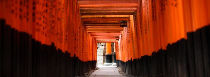 Japanese shrine, torii gates