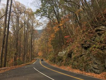 Road amidst trees against sky