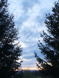 Silhouette trees on field against sky