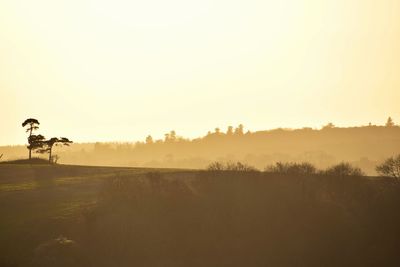 Scenic view of field against clear sky