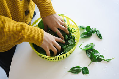 Women hands washing baby spinach leaves